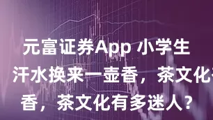 元富证券App 小学生汉服采茶，汗水换来一壶香，茶文化有多迷人？