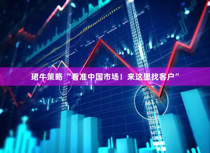 珺牛策略 “看准中国市场！来这里找客户”