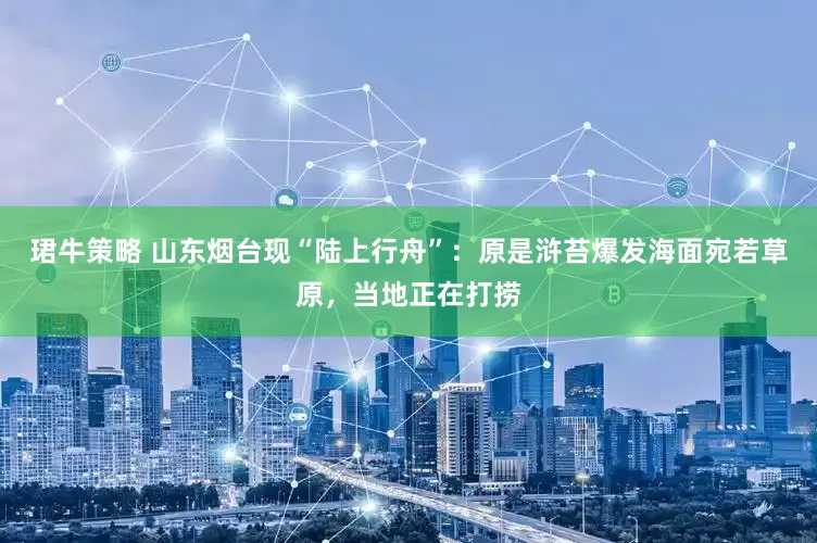 珺牛策略 山东烟台现“陆上行舟”：原是浒苔爆发海面宛若草原，当地正在打捞