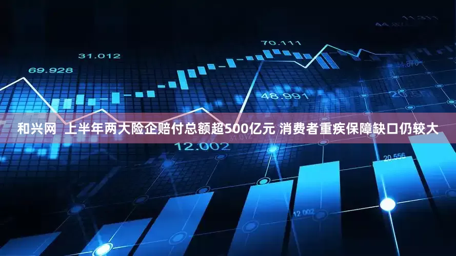 和兴网  上半年两大险企赔付总额超500亿元 消费者重疾保障缺口仍较大