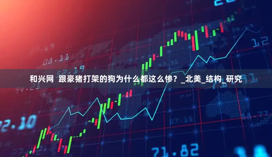 和兴网  跟豪猪打架的狗为什么都这么惨？_北美_结构_研究